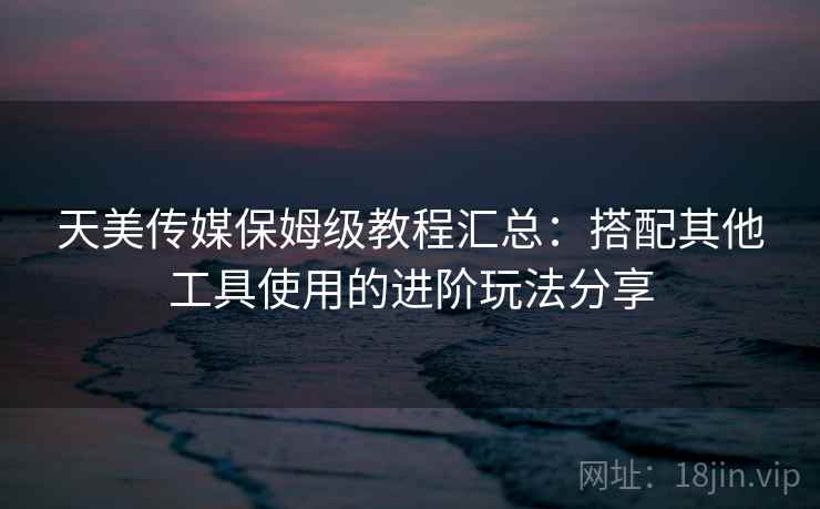 天美传媒保姆级教程汇总：搭配其他工具使用的进阶玩法分享