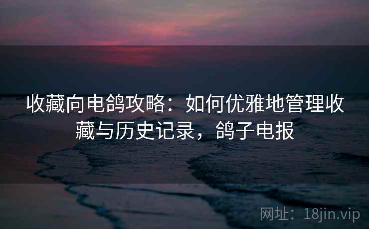 收藏向电鸽攻略：如何优雅地管理收藏与历史记录，鸽子电报