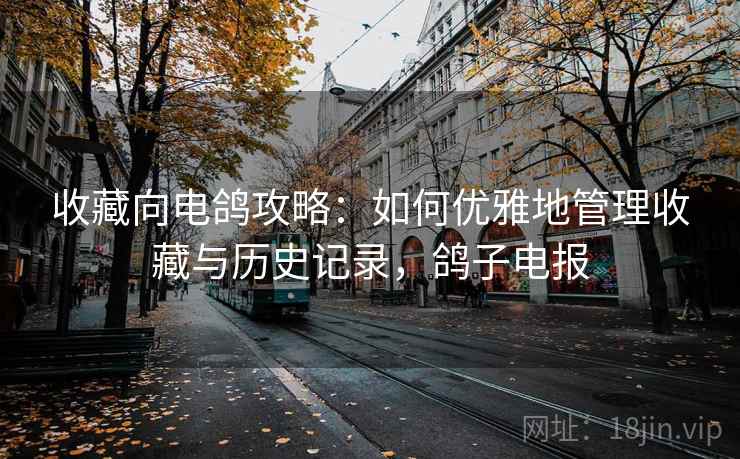 收藏向电鸽攻略：如何优雅地管理收藏与历史记录，鸽子电报