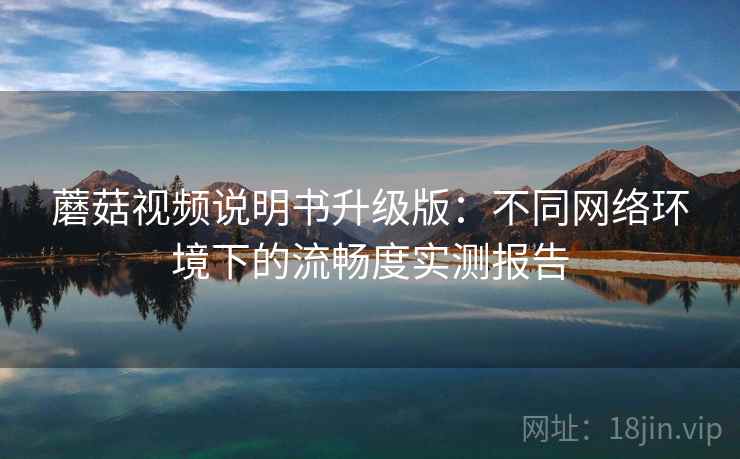 蘑菇视频说明书升级版：不同网络环境下的流畅度实测报告