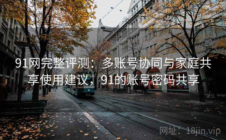 91网完整评测：多账号协同与家庭共享使用建议，91的账号密码共享