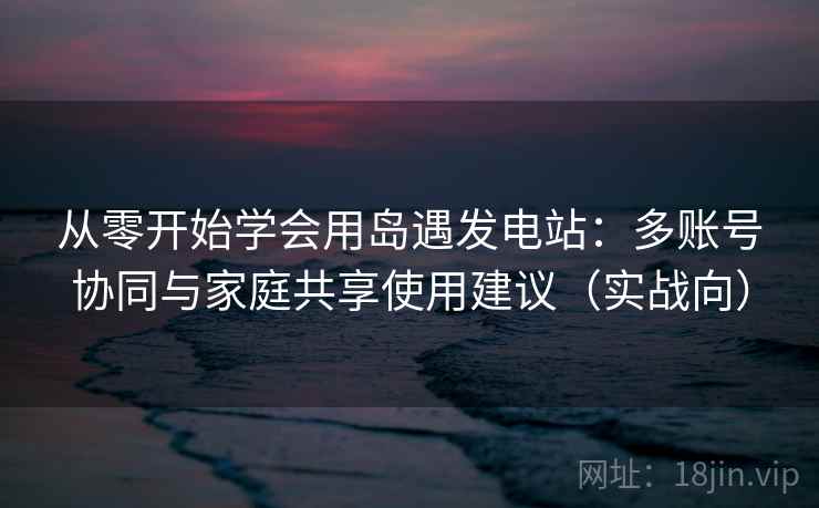 从零开始学会用岛遇发电站：多账号协同与家庭共享使用建议（实战向）