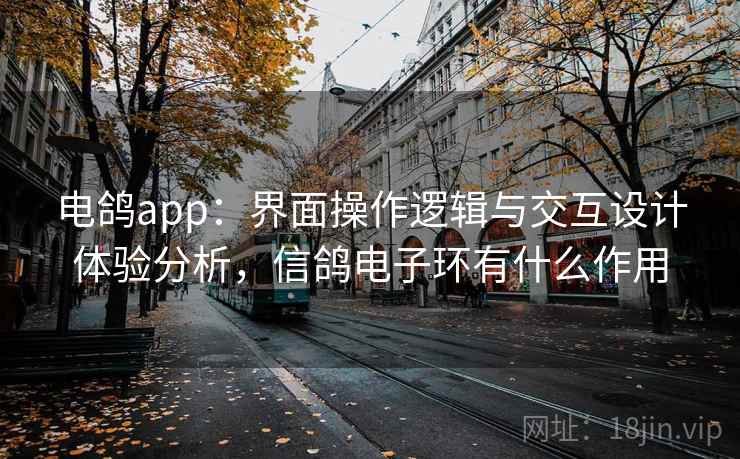 电鸽app：界面操作逻辑与交互设计体验分析，信鸽电子环有什么作用
