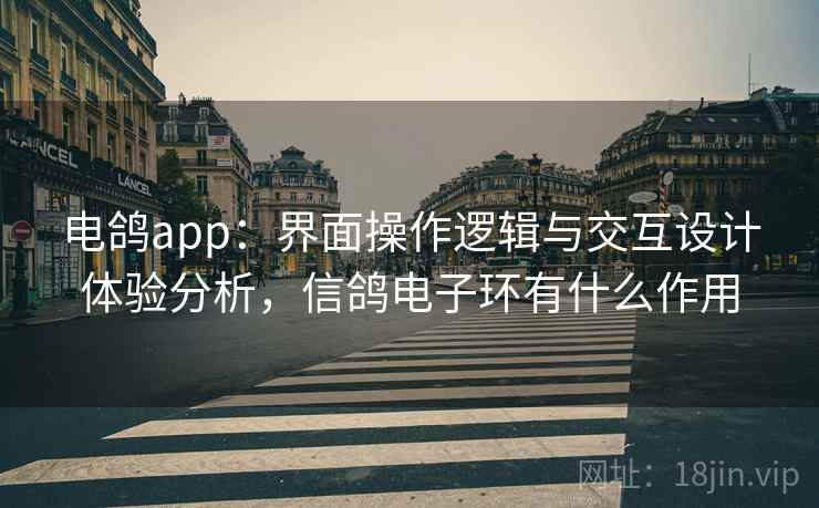 电鸽app：界面操作逻辑与交互设计体验分析，信鸽电子环有什么作用