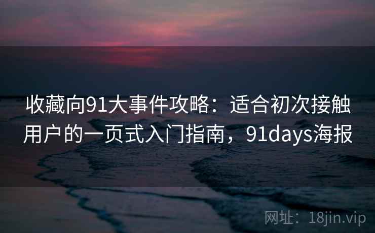 收藏向91大事件攻略：适合初次接触用户的一页式入门指南，91days海报