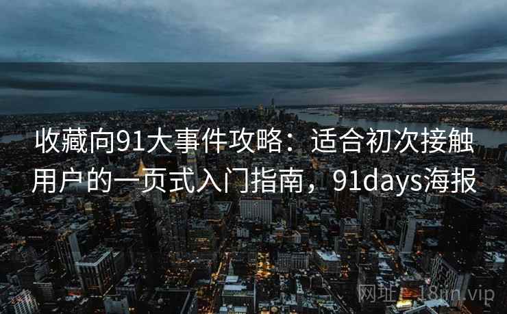 收藏向91大事件攻略：适合初次接触用户的一页式入门指南，91days海报