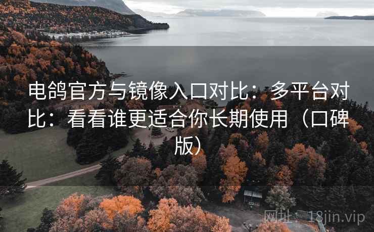 电鸽官方与镜像入口对比：多平台对比：看看谁更适合你长期使用（口碑版）