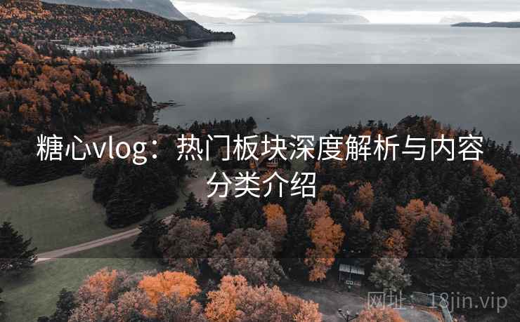 糖心vlog：热门板块深度解析与内容分类介绍