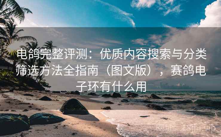 电鸽完整评测：优质内容搜索与分类筛选方法全指南（图文版），赛鸽电子环有什么用
