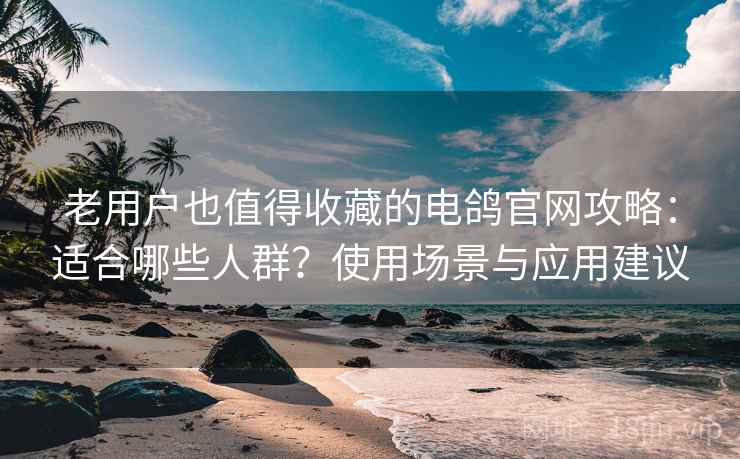 老用户也值得收藏的电鸽官网攻略：适合哪些人群？使用场景与应用建议