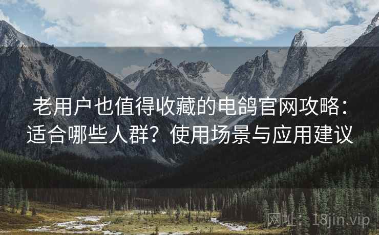 老用户也值得收藏的电鸽官网攻略：适合哪些人群？使用场景与应用建议
