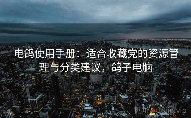 电鸽使用手册：适合收藏党的资源管理与分类建议，鸽子电脑