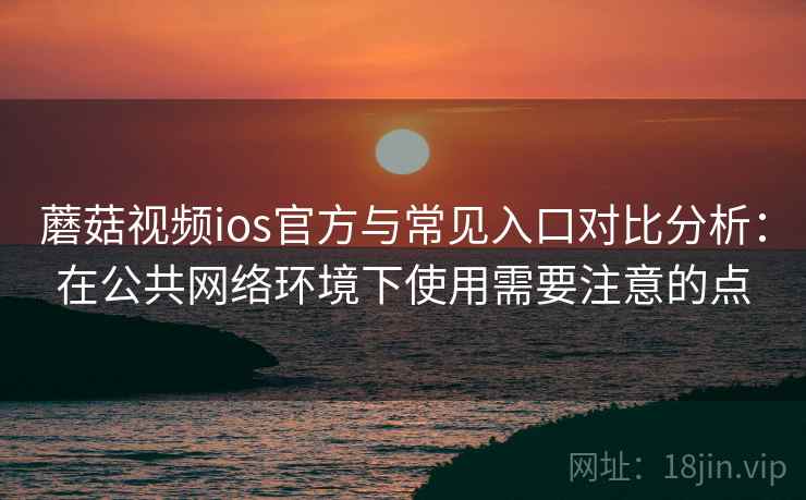 蘑菇视频ios官方与常见入口对比分析：在公共网络环境下使用需要注意的点