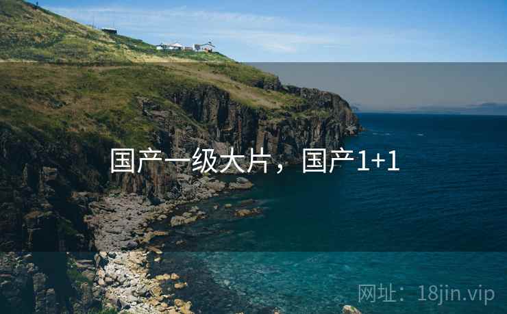 国产一级大片，国产1+1