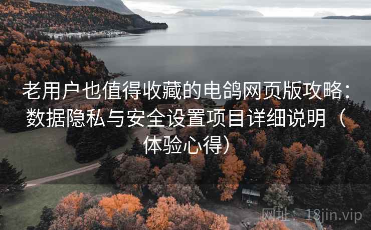 老用户也值得收藏的电鸽网页版攻略：数据隐私与安全设置项目详细说明（体验心得）