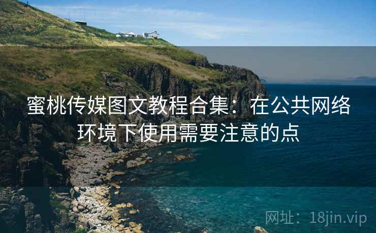 蜜桃传媒图文教程合集:在公共网络环境下使用需要注意的点 蜜桃传媒图文教程合集:在公共网络环境下使用需要注意的点