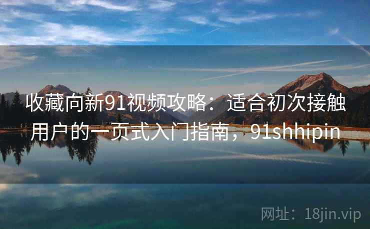 收藏向新91视频攻略：适合初次接触用户的一页式入门指南，91shhipin