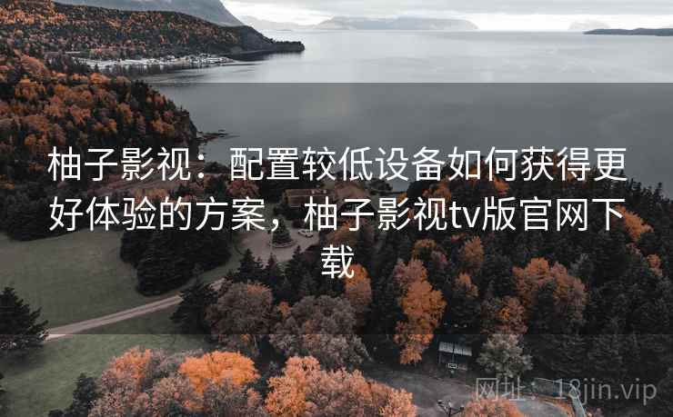 柚子影视:配置较低设备如何获得更好体验的方案,柚子影视tv版官网下载 柚子影视:配置较低设备如何获得更好体验的方案,柚子影视tv版官网下载
