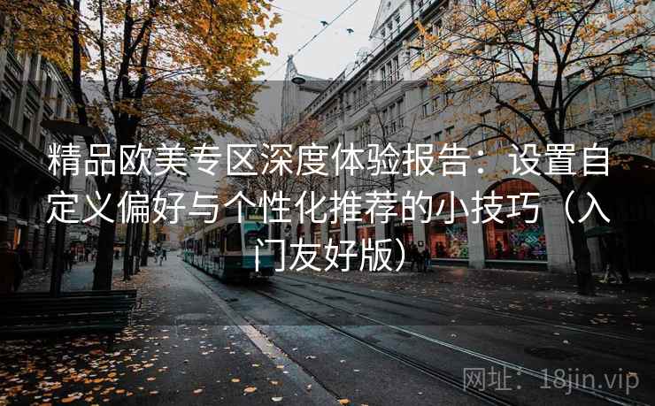 精品欧美专区深度体验报告：设置自定义偏好与个性化推荐的小技巧（入门友好版）
